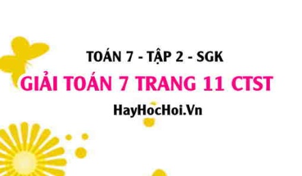 Giải Toán 7 trang 11 tập 2 Chân trời sáng tạo SGK